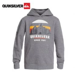 Sweat à Capuche QUIKSILVER Big Logo Snow Gris Junior