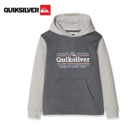 Sweat à Capuche QUIKSILVER Dove Sealers Gris Junior