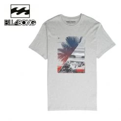 T-shirt BILLABONG Chill Out SS Gris Homme